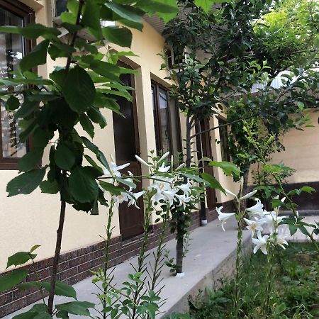 Дом Отель Бадамзар Tashkent Esterno foto